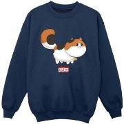 Sweat-shirt enfant Disney Big Hero 6