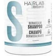 Shampooings Salerm Shampoing Dermocalm