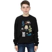 Sweat-shirt enfant Fantastic Beasts BI16681