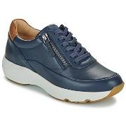 Baskets basses Clarks TIVOLI ZIP