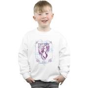 Sweat-shirt enfant Fantastic Beasts BI16719