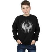 Sweat-shirt enfant Fantastic Beasts Distressed Magical Congress