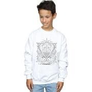 Sweat-shirt enfant Fantastic Beasts BI16773