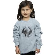 Sweat-shirt enfant Fantastic Beasts BI17076
