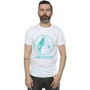 T-shirt Dc Comics Aquaman Aqua Logo