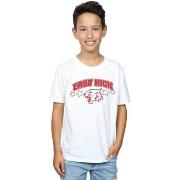 T-shirt enfant Disney High School Musical The Musical Wildcat Stars