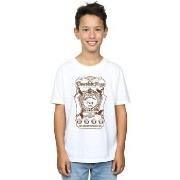 T-shirt enfant Harry Potter Chocolate Frogs Mono Label