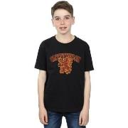 T-shirt enfant Harry Potter BI19918