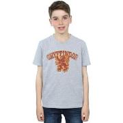 T-shirt enfant Harry Potter Gryffindor Sport Emblem