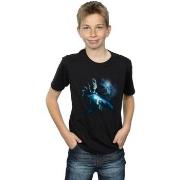 T-shirt enfant Harry Potter BI20047