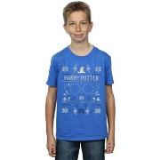 T-shirt enfant Harry Potter BI20145