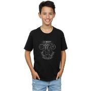 T-shirt enfant Harry Potter BI20453