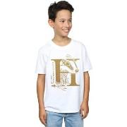 T-shirt enfant Harry Potter Hufflepuff Glitter