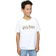 T-shirt enfant Harry Potter Full Colour Logo