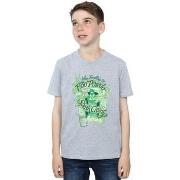 T-shirt enfant Harry Potter Floo Powder