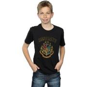 T-shirt enfant Harry Potter BI20611