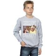 Sweat-shirt enfant Friends Holiday Armadillo