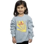 Sweat-shirt enfant Dc Comics BI17196