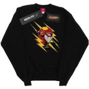 Sweat-shirt Dc Comics BI17328