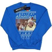 Sweat-shirt enfant Friends Holiday Armadillo