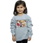 Sweat-shirt enfant Friends I Am The Holiday Armadillo