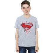 T-shirt enfant Dc Comics BI10460