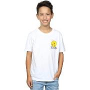 T-shirt enfant Dessins Animés BI23132