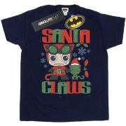 T-shirt Dc Comics Chibi Catwoman Santa Claws