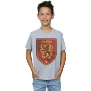 T-shirt enfant Harry Potter Gryffindor Crest Flat