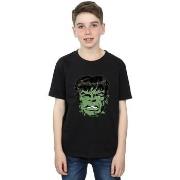 T-shirt enfant Marvel Incredible Hulk Distressed Face