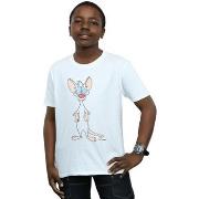 T-shirt enfant Animaniacs Pinky Classic Pose