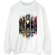 Sweat-shirt Dc Comics JSA