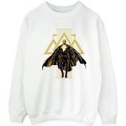 Sweat-shirt Dc Comics BI11173