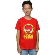 T-shirt enfant Dc Comics BI16005