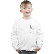 Sweat-shirt enfant Dessins Animés BI23038