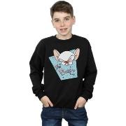 Sweat-shirt enfant Animaniacs BI5650