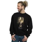 Sweat-shirt Fantastic Beasts BI23300