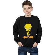 Sweat-shirt enfant Dessins Animés BI22982