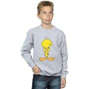 Sweat-shirt enfant Dessins Animés BI22982