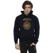 Sweat-shirt Harry Potter Hogwarts Varsity