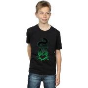 T-shirt enfant Harry Potter BI20341