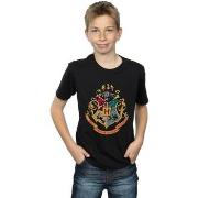 T-shirt enfant Harry Potter BI20633