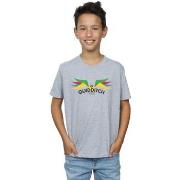 T-shirt enfant Harry Potter Snitch