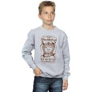 Sweat-shirt enfant Harry Potter Chocolate Frogs Mono Label