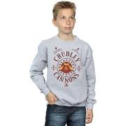 Sweat-shirt enfant Harry Potter Chudley Cannons