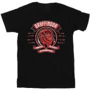 T-shirt enfant Harry Potter Gryffindor Toon Crest