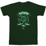 T-shirt enfant Harry Potter Slytherin