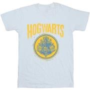T-shirt enfant Harry Potter Hogwarts Circle Crest