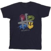 T-shirt enfant Harry Potter BI21064