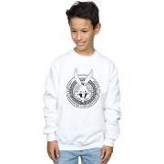 Sweat-shirt enfant Dessins Animés BI23155